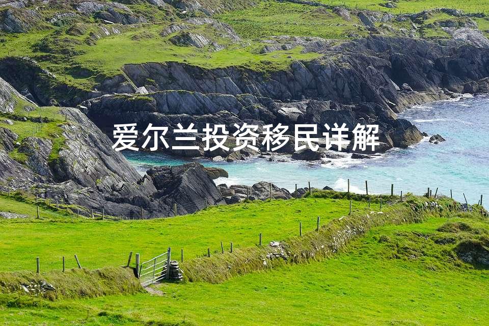 爱尔兰投资移民详解 爱尔兰投资移民详解
