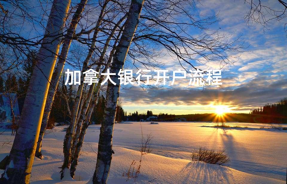 加拿大银行开户流程