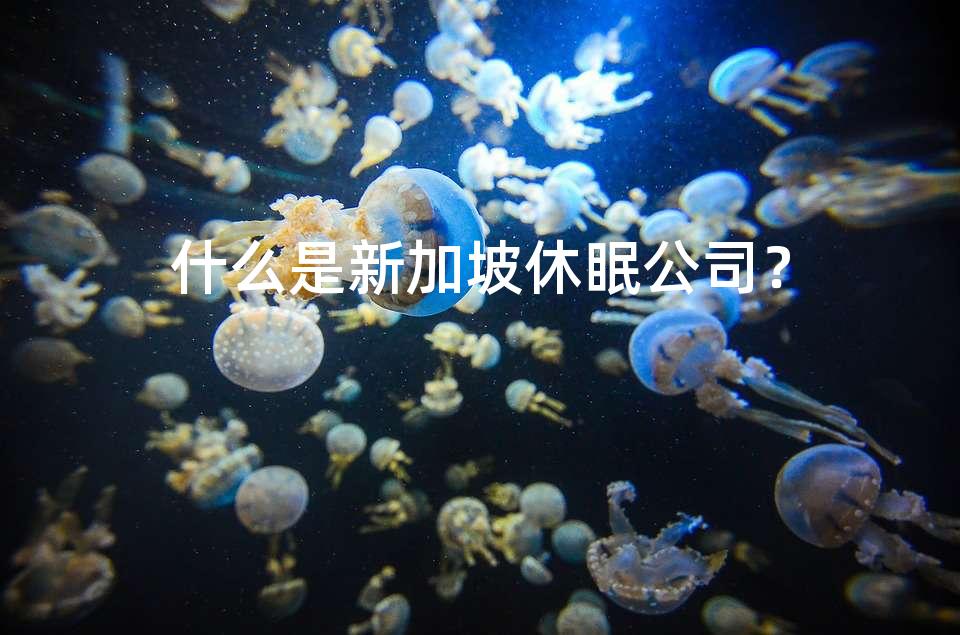 什么是新加坡休眠公司？
