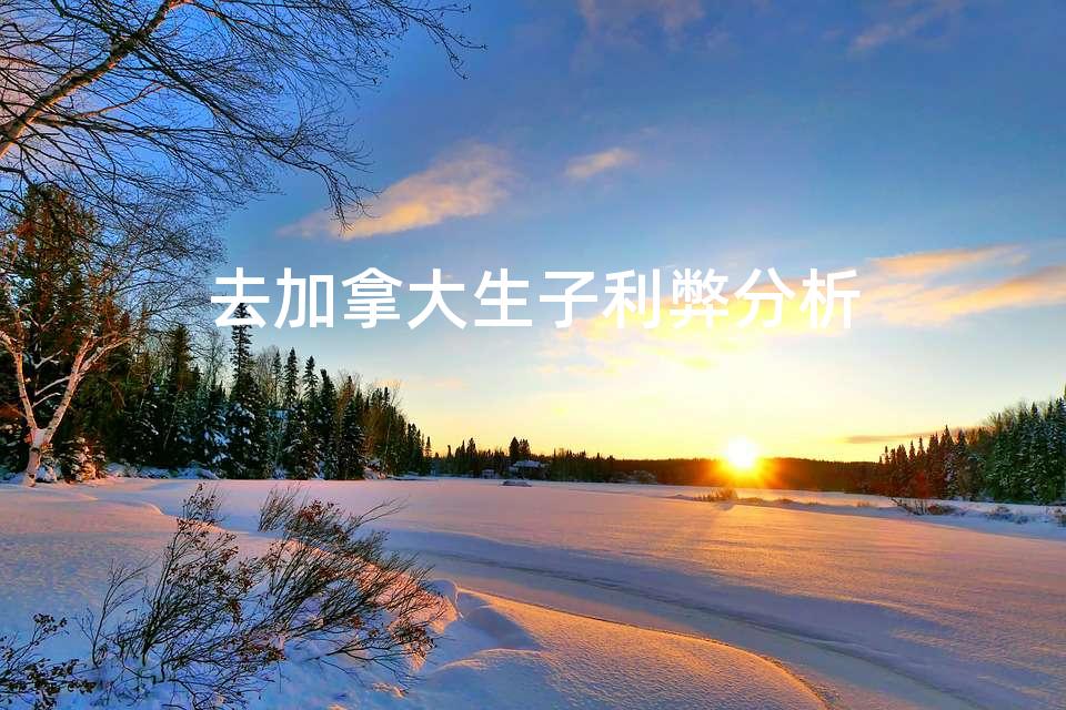 去加拿大生子利弊分析 去加拿大生子利弊分析