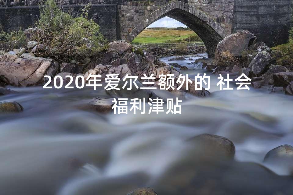 2020年爱尔兰额外的 社会福利津贴 2020年爱尔兰额外的 社会福利津贴