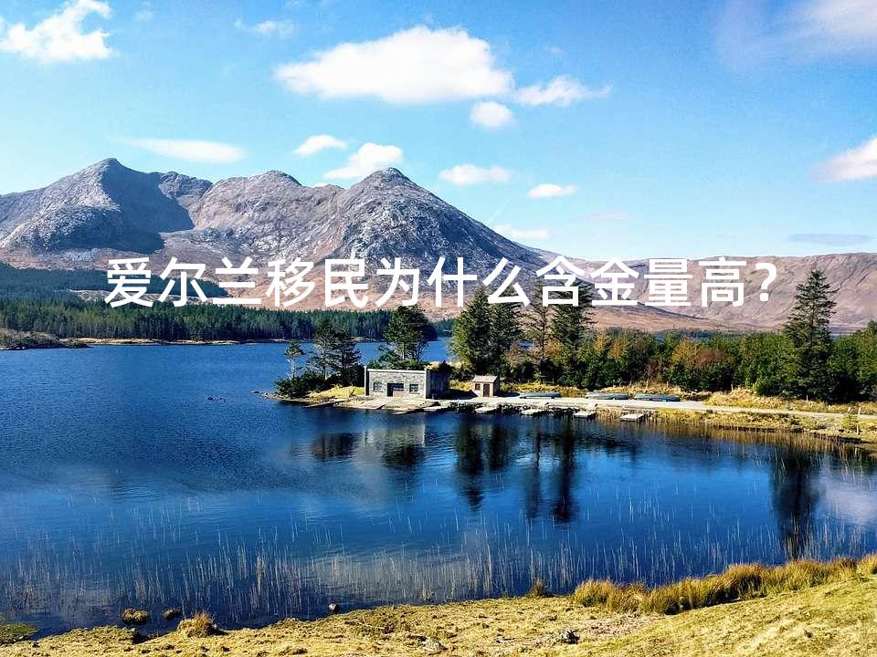 爱尔兰移民为什么含金量高？