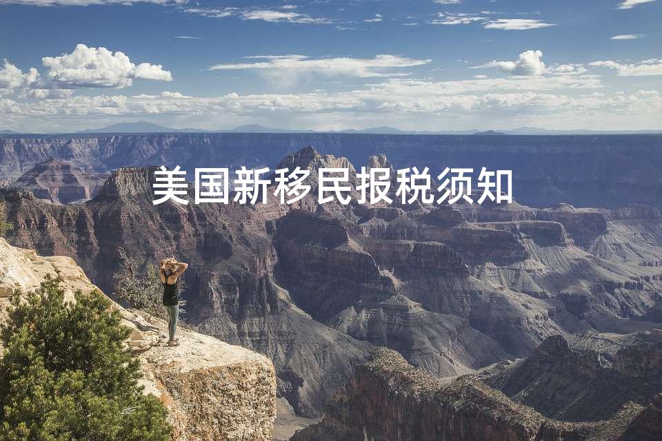 美国新移民报税须知 美国新移民报税须知