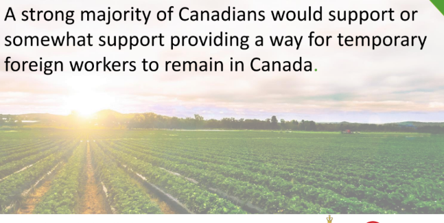 加拿大人欢迎农业部门临时工人成为永久居民