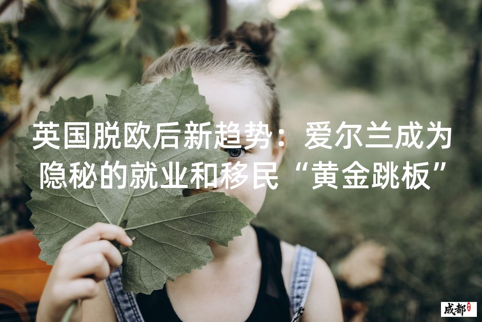 英国脱欧后新趋势：爱尔兰成为隐秘的就业和移民“黄金跳板”