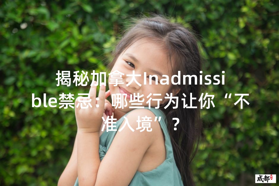 揭秘加拿大Inadmissible禁忌：哪些行为让你“不准入境”？